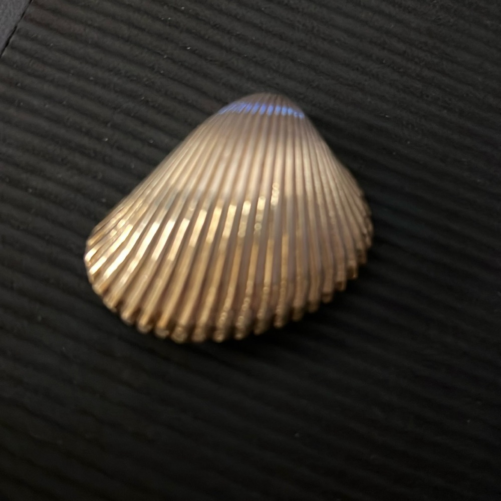 Vintage Sterling Silver Shell Brooch/Pendant EEEUC